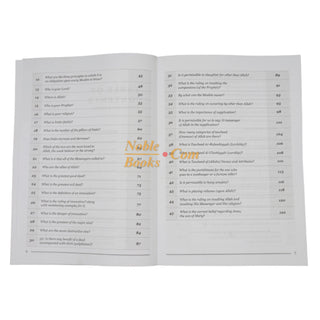100 Questions and Answers in Belief,Biography and Remembrance Workbook