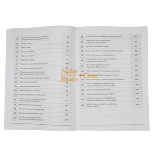 100 Questions and Answers in Belief,Biography and Remembrance Workbook