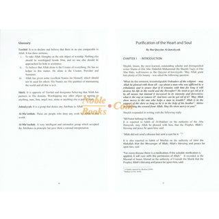 Purification of the Heart and Soul (Illness & Cure) By Imam Ibn Qayyim al Jawziyyah