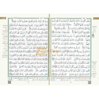 Tajweed Quran Surah Al-Baqarah  (Arabic Only)