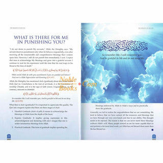 The Heights of Success by Syed Taj Ahmed