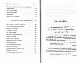 What Happens After Death By Maulana Muhammad Ashiq ilahi