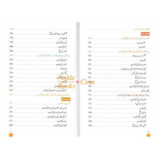 Islami Fatuhat ka Tabnak Dour(Urdu Language)اسلامی فتوحات کا تابناک دور