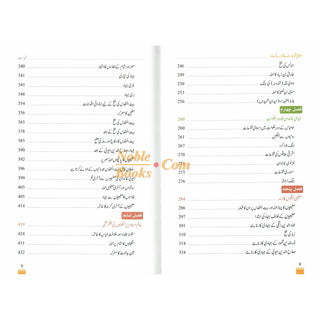 Islami Fatuhat ka Tabnak Dour(Urdu Language)اسلامی فتوحات کا تابناک دور
