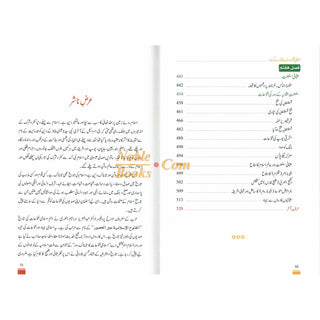 Islami Fatuhat ka Tabnak Dour(Urdu Language)اسلامی فتوحات کا تابناک دور