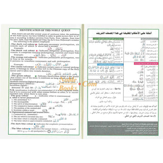 Juz Amma Tajweed Quran( Arabic Edition )( Part 30 Only)