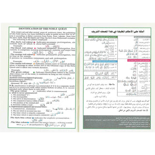 Tajweed Quran Arabic Only Deluxe Medium Size 14x20 CM
