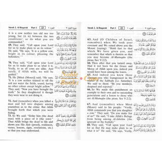 Noble Quran Arabic to English (Pocket Size)