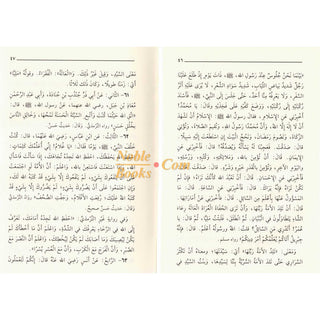 Riyad us-Saliheen (Arabic Language) Small Size