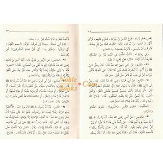Riyad us-Saliheen (Arabic Language) Small Size