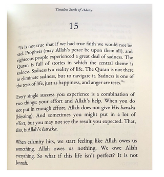 Timeless Seeds of Advice