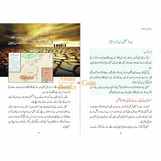 Syed Sohail Bin Umar R.A By Abdul Malik Mujahid