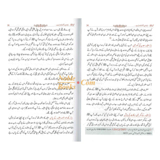 Tajalliyat-e- Nabuwat (Urdu Language) By Maulana Safi-Ur-Rehman Mubarakpuri