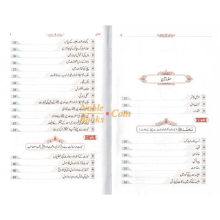Tajalliyat-e- Nabuwat (Urdu Language) By Maulana Safi-Ur-Rehman Mubarakpuri