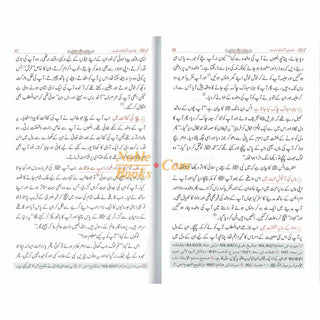 Tajalliyat-e- Nabuwat (Urdu Language) By Maulana Safi-Ur-Rehman Mubarakpuri
