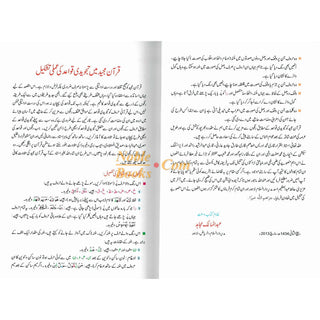 Tajweedi Quran with Urdu Tajweed Rules 16 Lines 8.5 x 6.0 Inch (7B) Hafzi Tajweedi, Medium Size,Standard Print