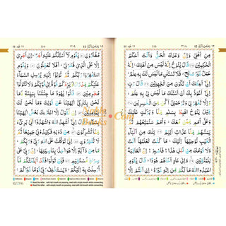 The Holy Quran Colour Coded Tajweed Rules 13 Lines 23CC Kabah With Slip Case (Medium Size)
