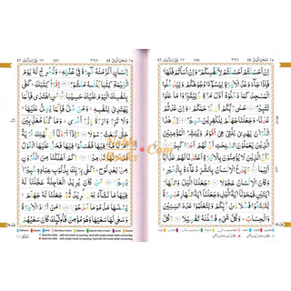 The Holy Quran Colour Coded Tajweed Rules 13 Lines 23CC Kabah With Slip Case (Medium Size)