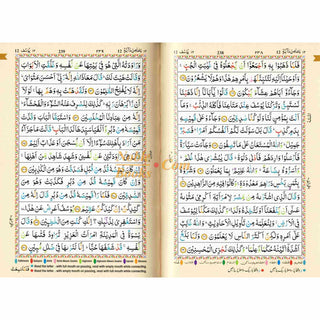 The Holy Quran Tajweed Rules with Colour Coded (Pocket Size) (Persian/Urdu script)