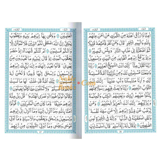 The Quran Arabic Only , 13 Lines Pakistani / Indian/ Persian Script (Size 9.8 x 7.0 Inch), Ref 108