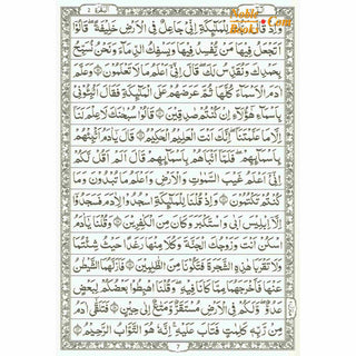 The Quran Arabic Only, 15 Lines Pakistani / Indian/ Persian Script (Size XL, 13.5 x 10 x 1.3 Inch) (Ref 211)