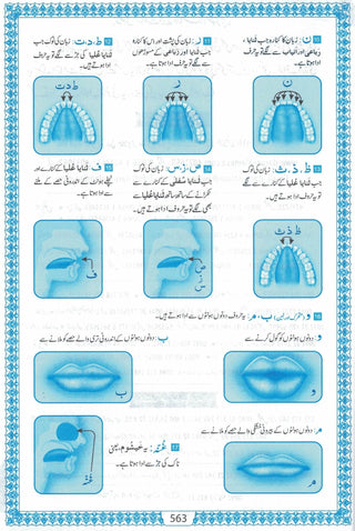 The Quran Arabic Only,16 Lines Pakistani / Indian/ Persian Script For Huffaz (Size 7.9 x 5.6 Inch) (Ref 7A) White Paper Blue Border,Medium Size