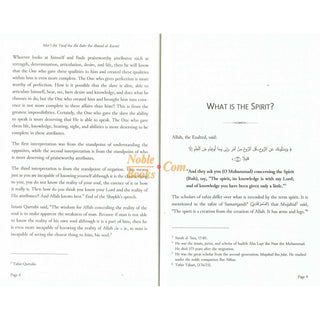 Wandering of Spirits and Souls by Shaykh Mart ibn Yusuf, ISBN:9798350718331