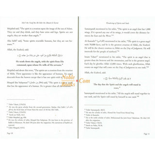 Wandering of Spirits and Souls by Shaykh Mart ibn Yusuf, ISBN:9798350718331